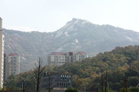 20141024 fall in seoul 5.jpg