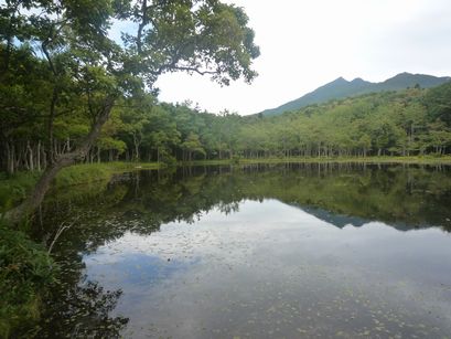 P1100007.JPG