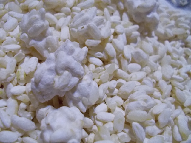 DSCN1270 (640x480).jpg