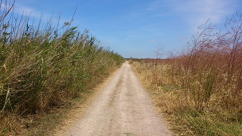 54-4.jpg