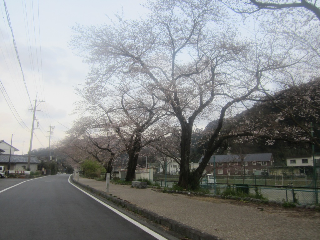 IMG_3164.JPG