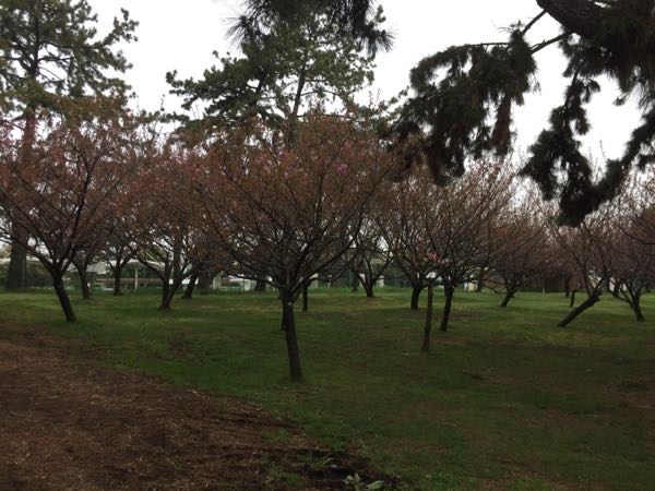 rblog-20160410102840-04.jpg