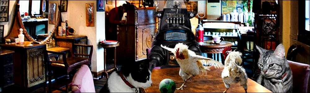 耳（ミミ）とチャッピの布団