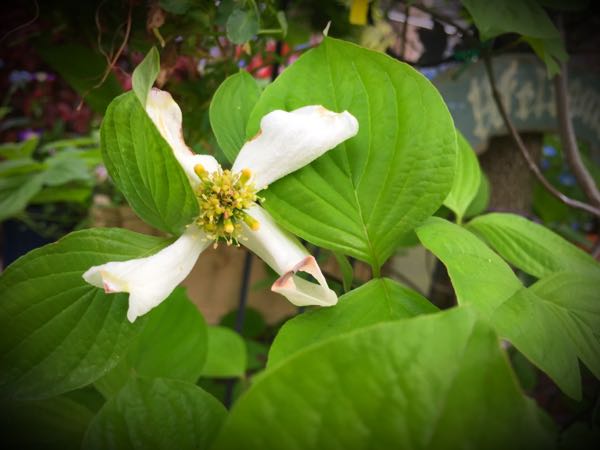 rblog-20160427183111-06.jpg