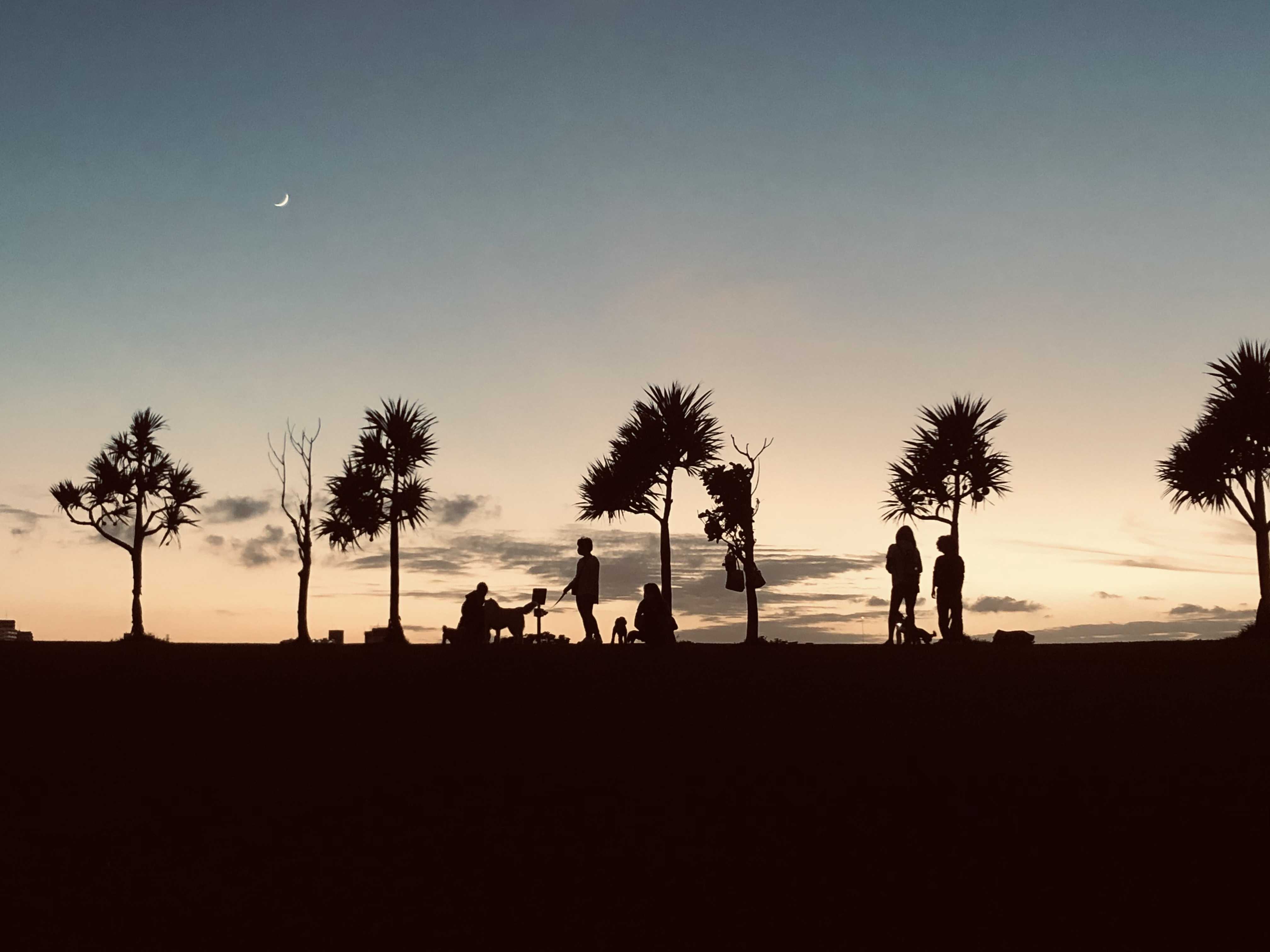 ホワイトレンジャーの日常