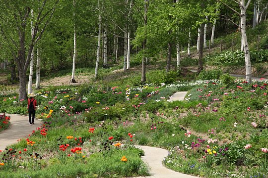 花の咲く園内_1.JPG