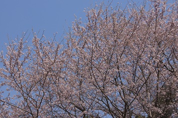 DSC01072a.jpg