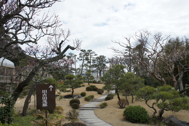 吉田茂公園１.jpg