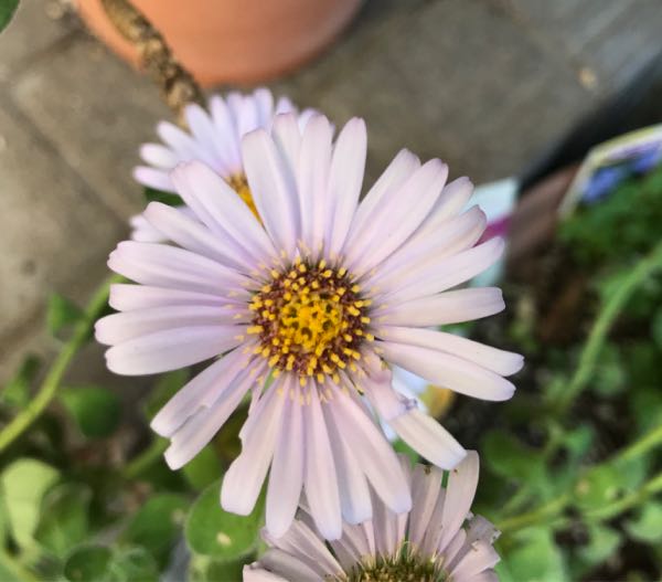 rblog-20181029111459-05.jpg