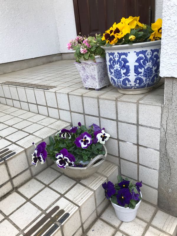 rblog-20180325184332-00.jpg
