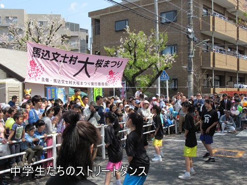 馬込文士村大桜まつり