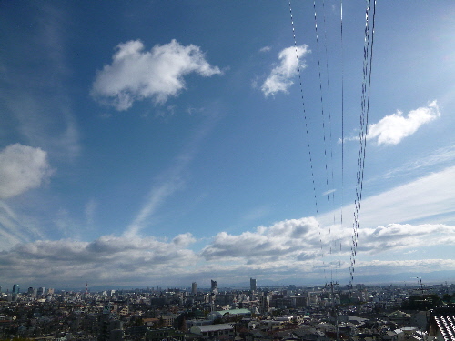 P1080414(1).JPG