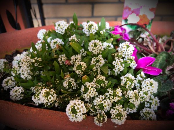 rblog-20161231162917-04.jpg