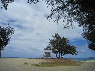 2012 hawaii 040.jpg