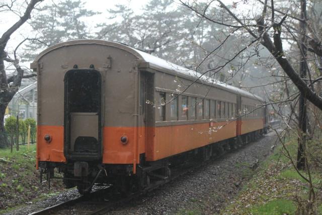 津軽鉄道 どしゃぶりの ストーブ列車が行く3