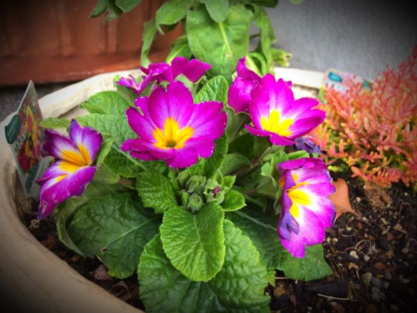 rblog-20161231163415-01.jpg