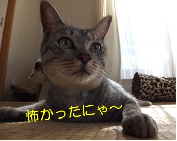 20121006_1.jpg