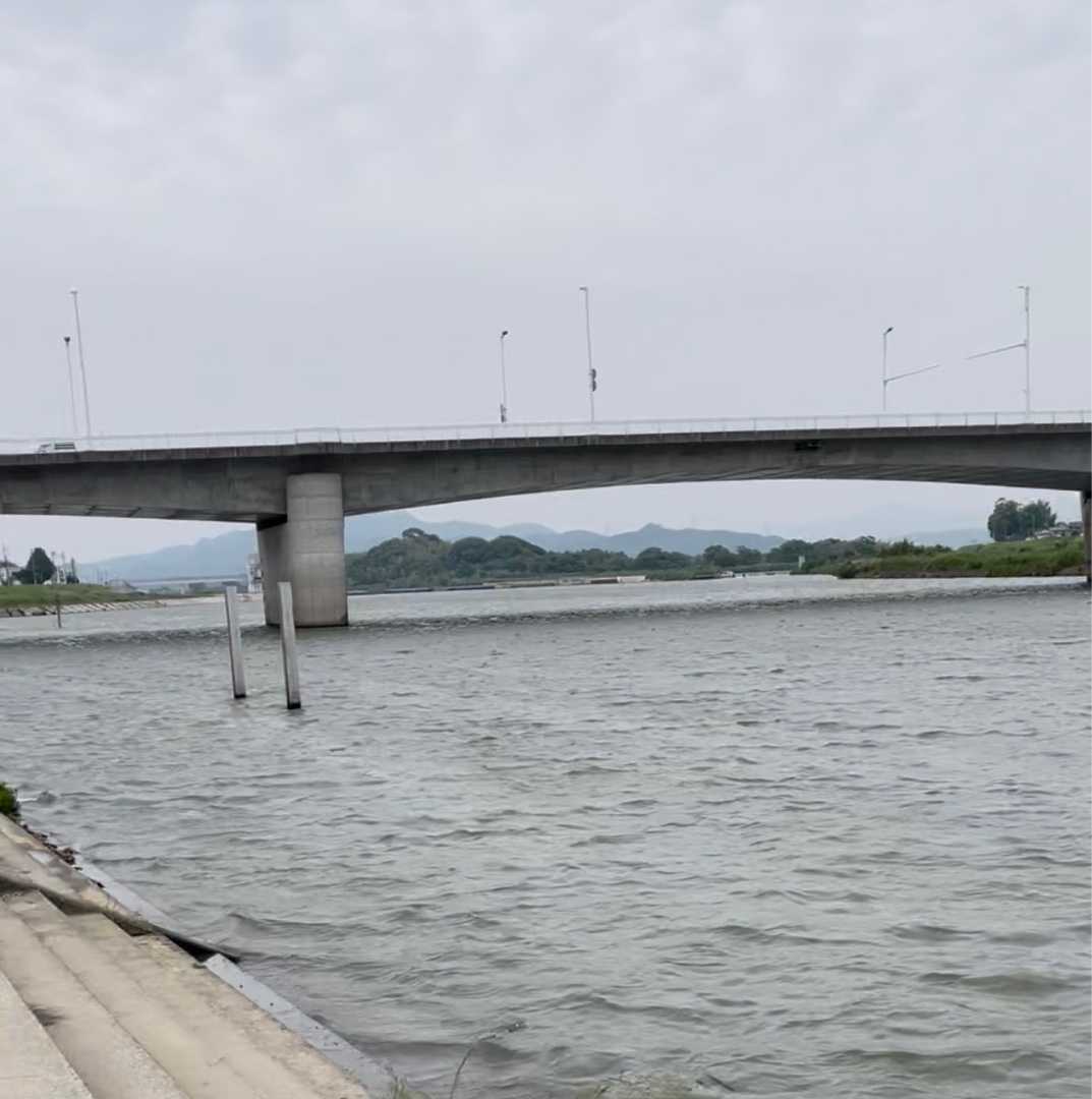 遠賀川2菜の花大橋下流 福岡県佐賀県バス釣り情報 楽天ブログ