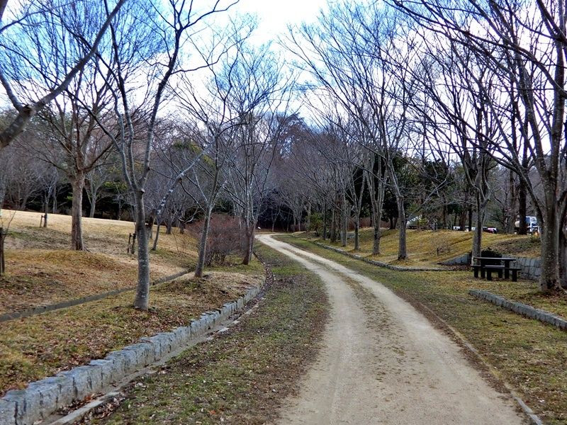 外周路4