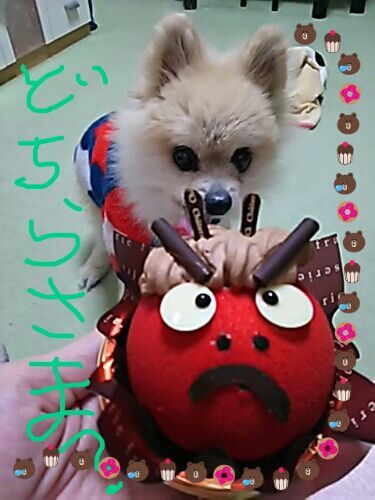 rblog-20180202211910-01.jpg