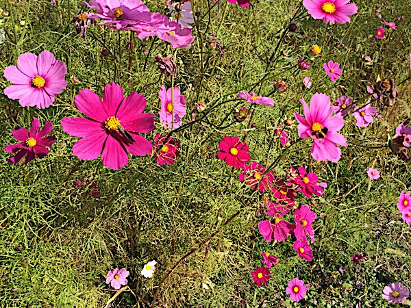 rblog-20181021224042-01.jpg