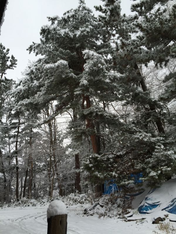 rblog-20141204170355-01.jpg