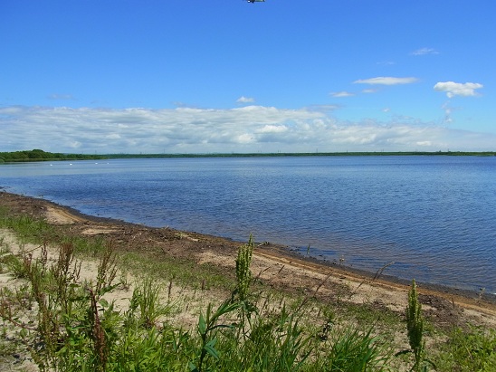 RIMG0005.JPG