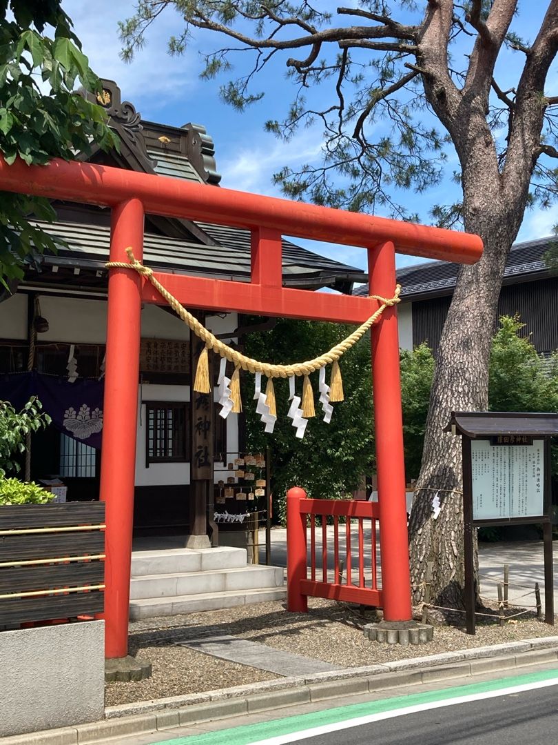 杉並猿田彦神社 夏越し大祓 日本全国おみくじ引き隊 こよみ 楽天ブログ