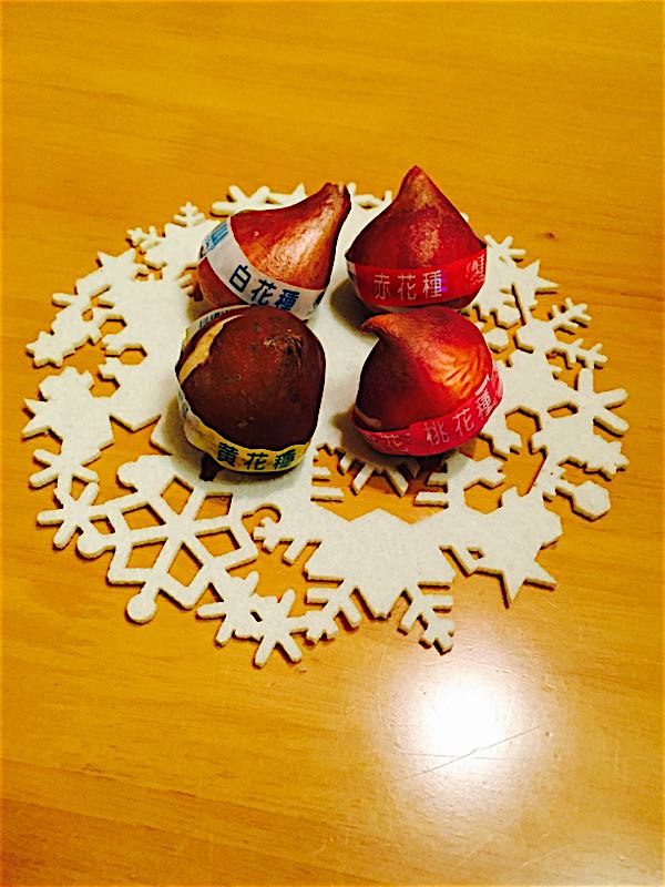 rblog-20151010220815-01.jpg