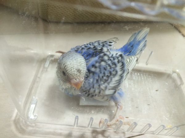 rblog-20150409143041-01.jpg