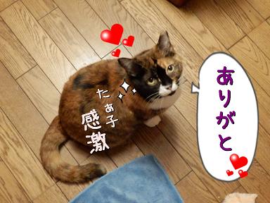 たぁこ感激.JPG