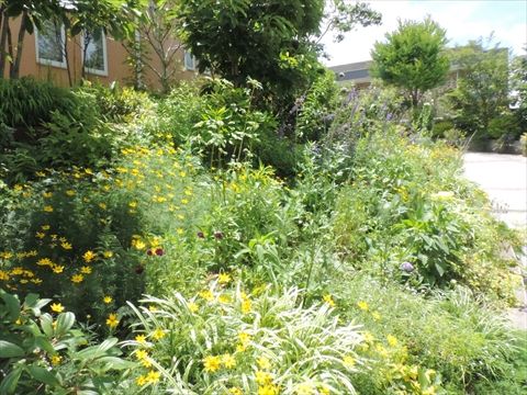 お庭訪問記 東金 花の絶えることのないお庭 田舎の花屋日記 楽天ブログ