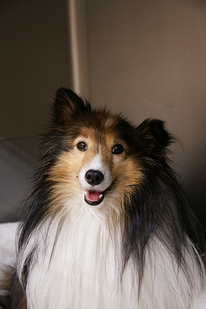 DSC09916.jpg