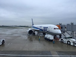 bg787