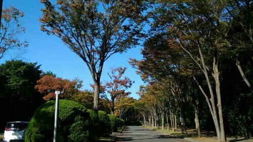 rblog-20161027164306-01.jpg