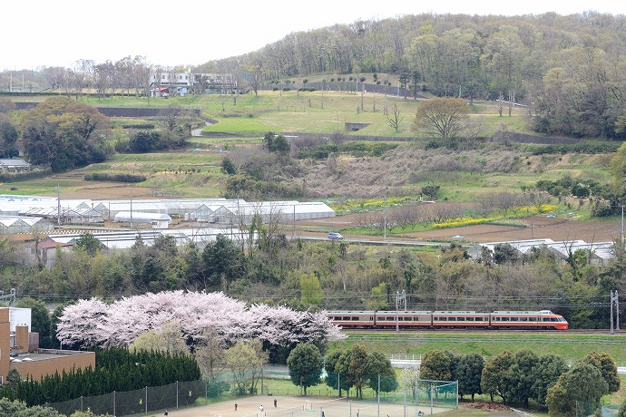 小田急線-12