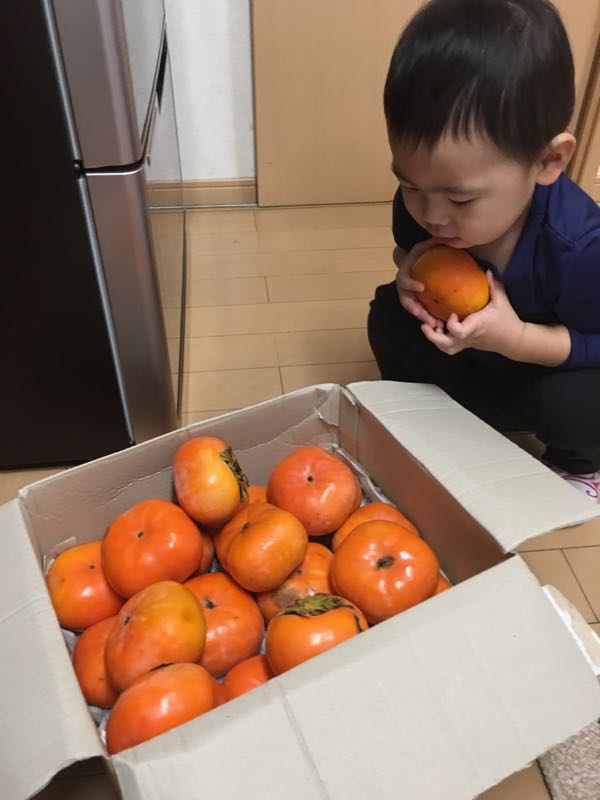 rblog-20161115224702-00.jpg