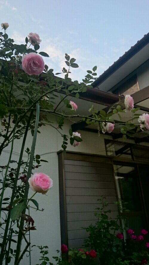 rblog-20160602092302-01.jpg