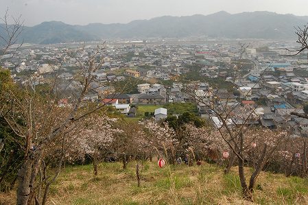 s-DSC_0507.jpg