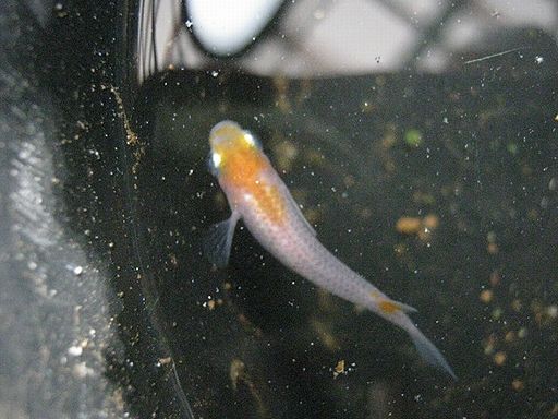 IMG_3263.JPG