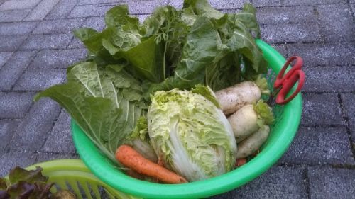 rblog-20181230193457-04.jpg
