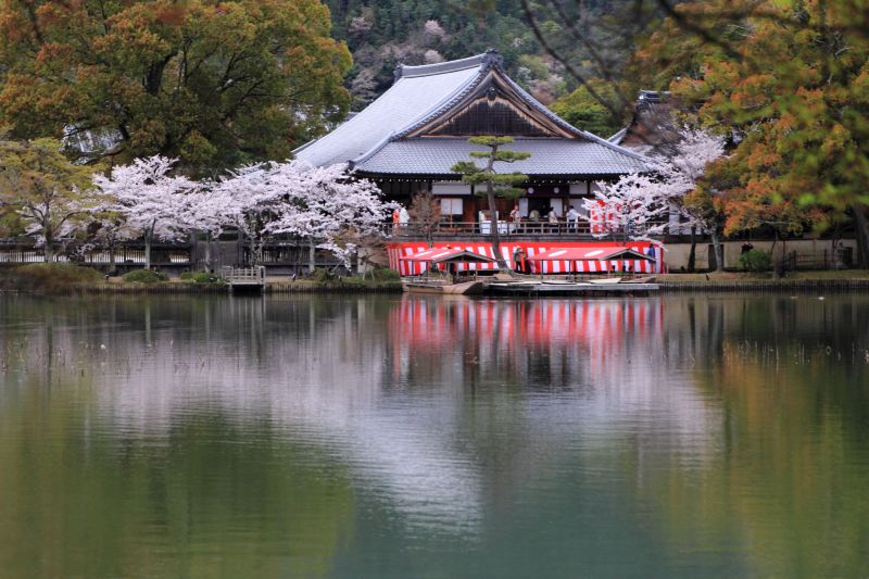 大沢池_001.jpg