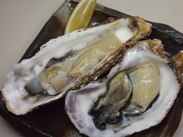 P2060007.jpg