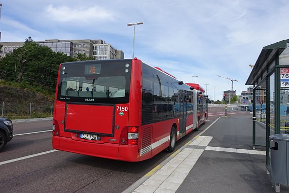 DSC00705sh2015.jpg