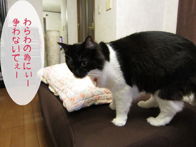 20130122115440_w_400_h_300_869243.jpg