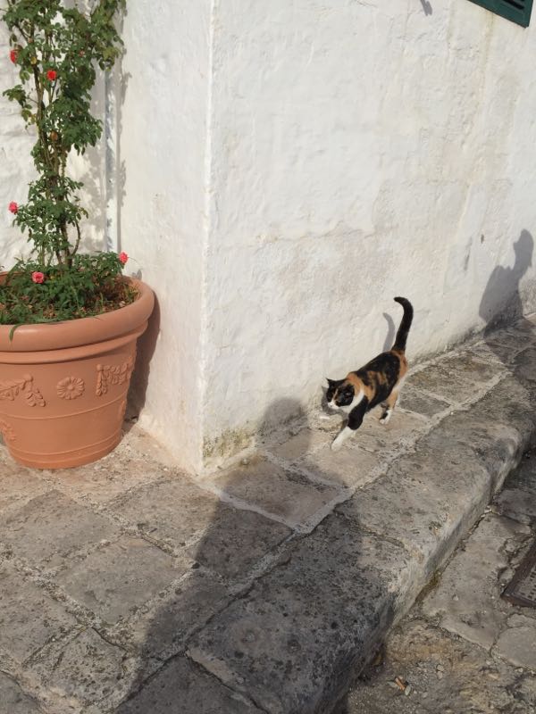 rblog-20151001074208-01.jpg