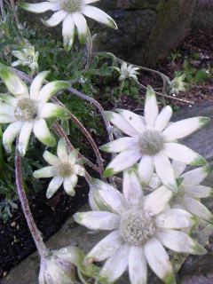 120505_1751~01.jpg