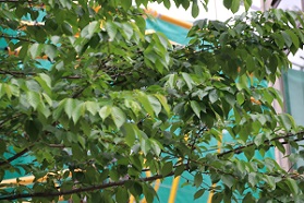 IMG_0100-24.jpg