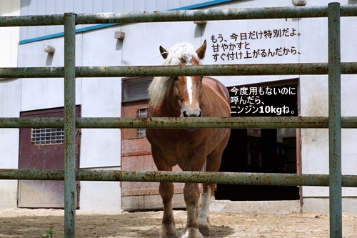 遠野　ばん馬