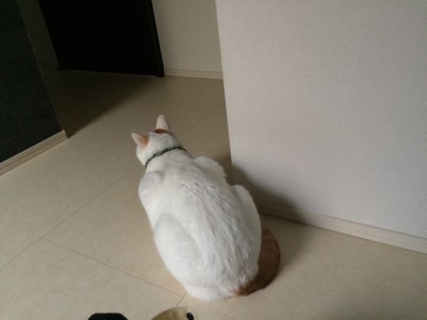 rblog-20151009062646-04.jpg
